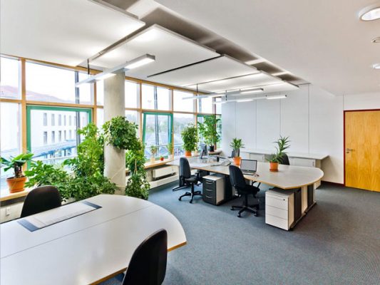 Văn phòng xanh được thiết kế với các nguyên tắc và tiêu chuẩn nhất định