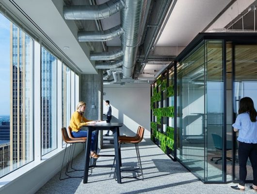 Văn phòng xanh giúp nhân viên làm việc hiệu quả hơn