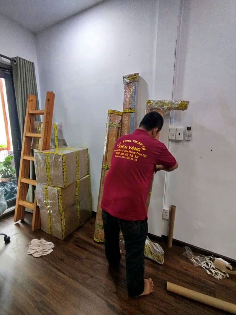 Kiến Vàng có thể dễ dàng xử lý mọi tình huống trong quá trình chuyển nhà